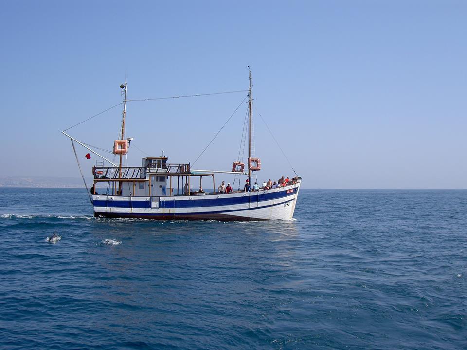 listing